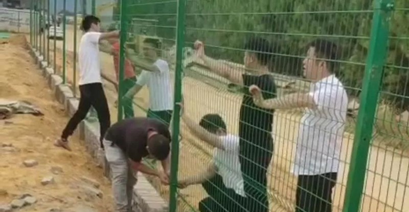 首页| 尊龙Z6(中国集团)官方网站