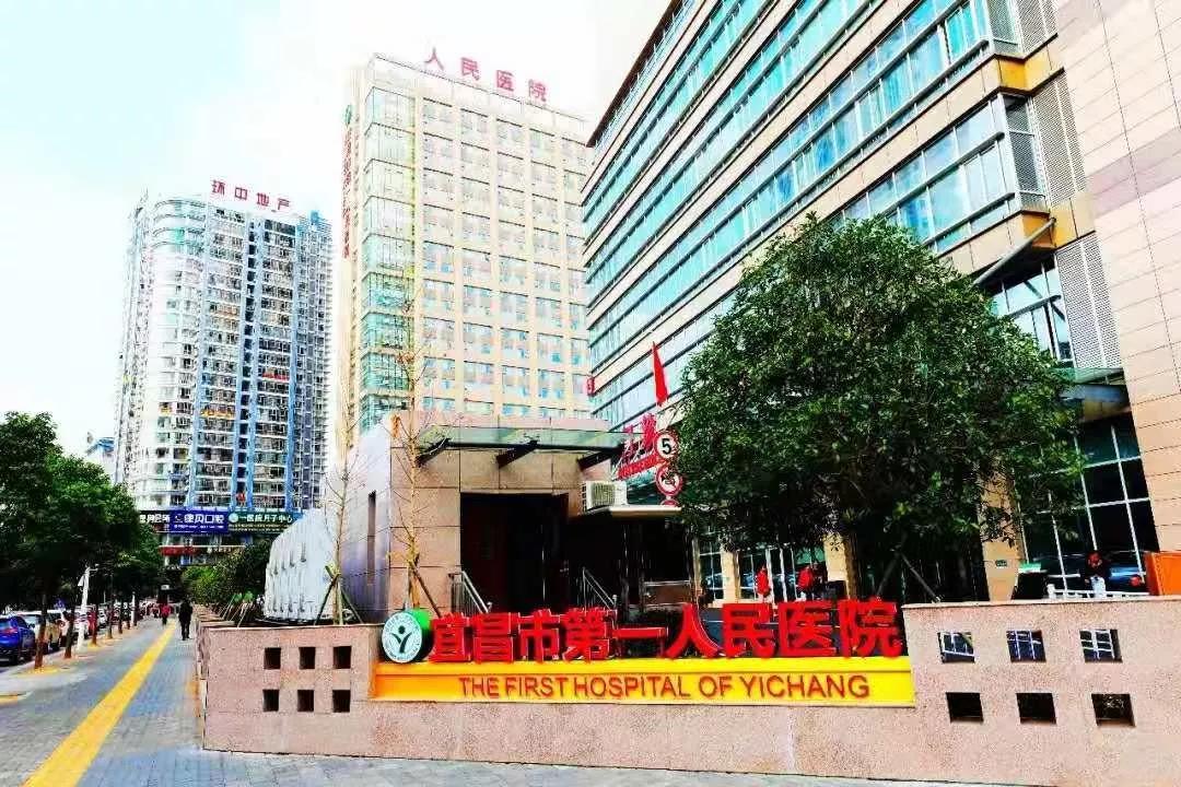 1-200225094442Q3 首页| 尊龙Z6(中国集团)官方网站
